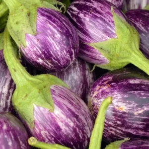 Light Purple Eggplant Seeds - Round Variety for Home Garden