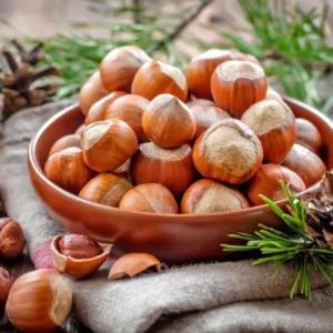 Hazelnut Tree Live Plant - 2-3 Ft Size for Planting