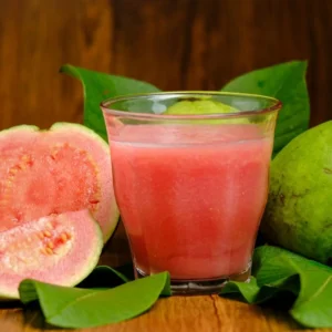 Pink Guava Tree Set - Live Seedlings 4-9 Inches - Sweet Pink Guava Plants