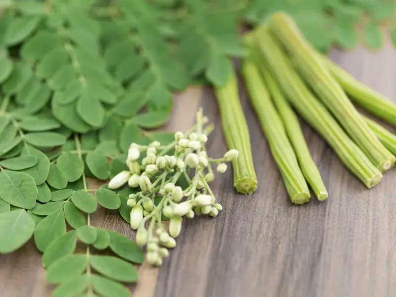 moringa stems and flowers