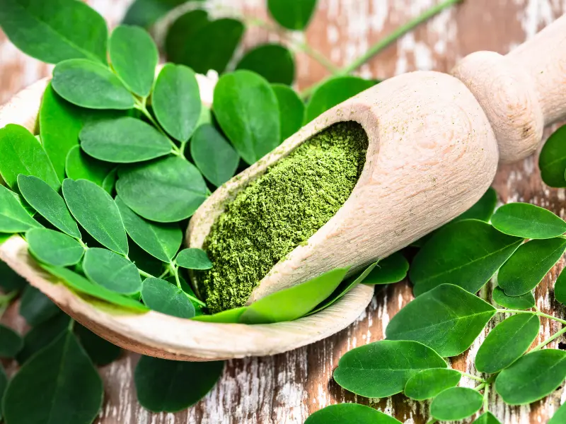 moringa powder
