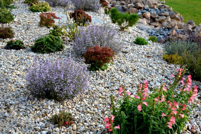 Fire-Resistant Plants for California Gardens