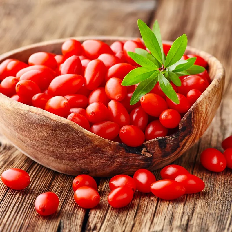 Goji Berry Plants - Live Red Goji Berry Bush - 12-15 Inch - Home Garden