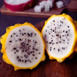 Dragon Fruit Plants Live Set - Starter Plants for Garden - 3-6 Inches