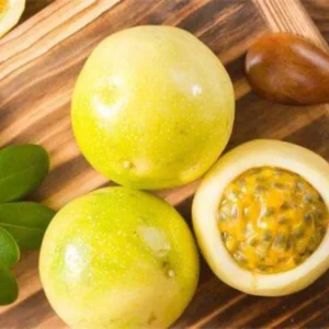 Yellow Passion Fruit Plant Live Vine 4-6 Inch Passion Plant