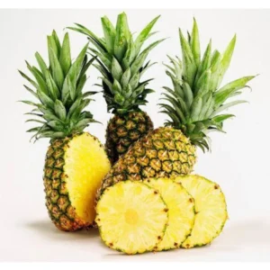 Pineapple Plant Live Starter Plant - Outdoor Growing - No Pot - Sweet Flavor