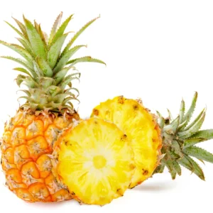 Pineapple Plant Live Starter Plant - Outdoor Growing - No Pot - Sweet Flavor