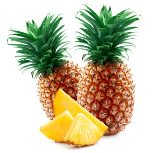 Pineapple Plants Live Bushes - Outdoor Tropical Fruit - 5-7 Inches