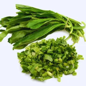 Culantro Plants Live - 4 Pack - Culinary Herb - 4-6 Inches Tall - Vegetable Plant