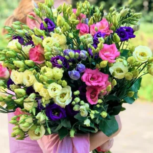 Lisianthus Plants - 2 Eustoma Live Flower Seedlings - 3-5