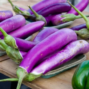 Long Eggplant Plant Live - Purple Vegetable Plant 4 Inch Pot - Outdoor Garden Ready