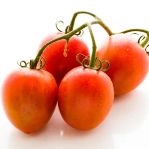 Roma Tomato Plant - Live Vegetable Plant - 2.5 Inch Pot - Grow Your Own