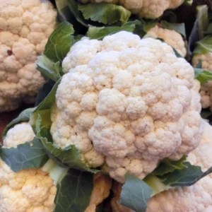 Cauliflower Plant Vegetable Plant 4 inch Pot Live Plant