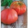 Ponak New Fresh 50 Pieces Red Tomato Vegetable Seeds