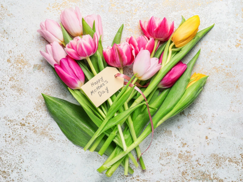 flowering plants for mother's day