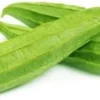 Ridge Gourd Seed (25 Per Packet)