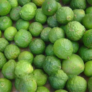 Vistaric 20pcs/Bag Kaffir Lime Seed, Lime Seeds, (Citrus aurantifolia) Organic Fruta Bonsai Potted Fruit Lemon Tree for Home Garden