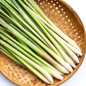 Lemongrass Plants - Pack of 3 Live Rooted Plants for Gardening