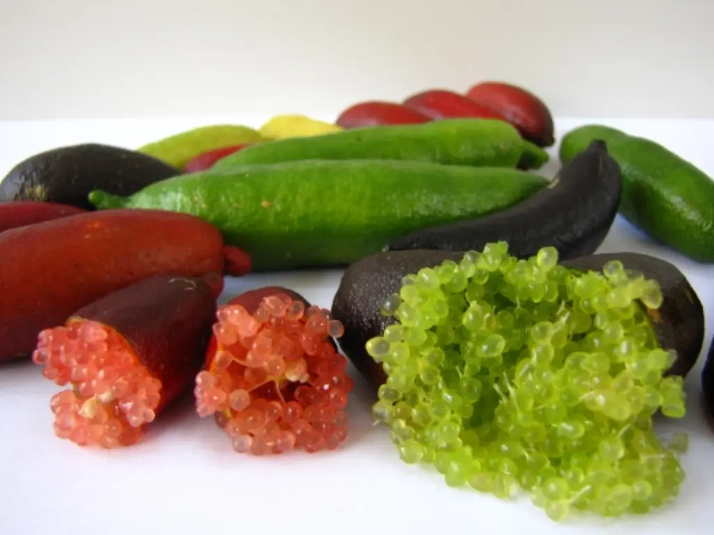Different types of finger limes including green, red, and purple, with their caviar-like pulp visible.