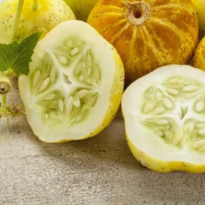 Lemon Cucumber Plants Live - Vegetable Plant - 4-5 Inch Tall - One Pot