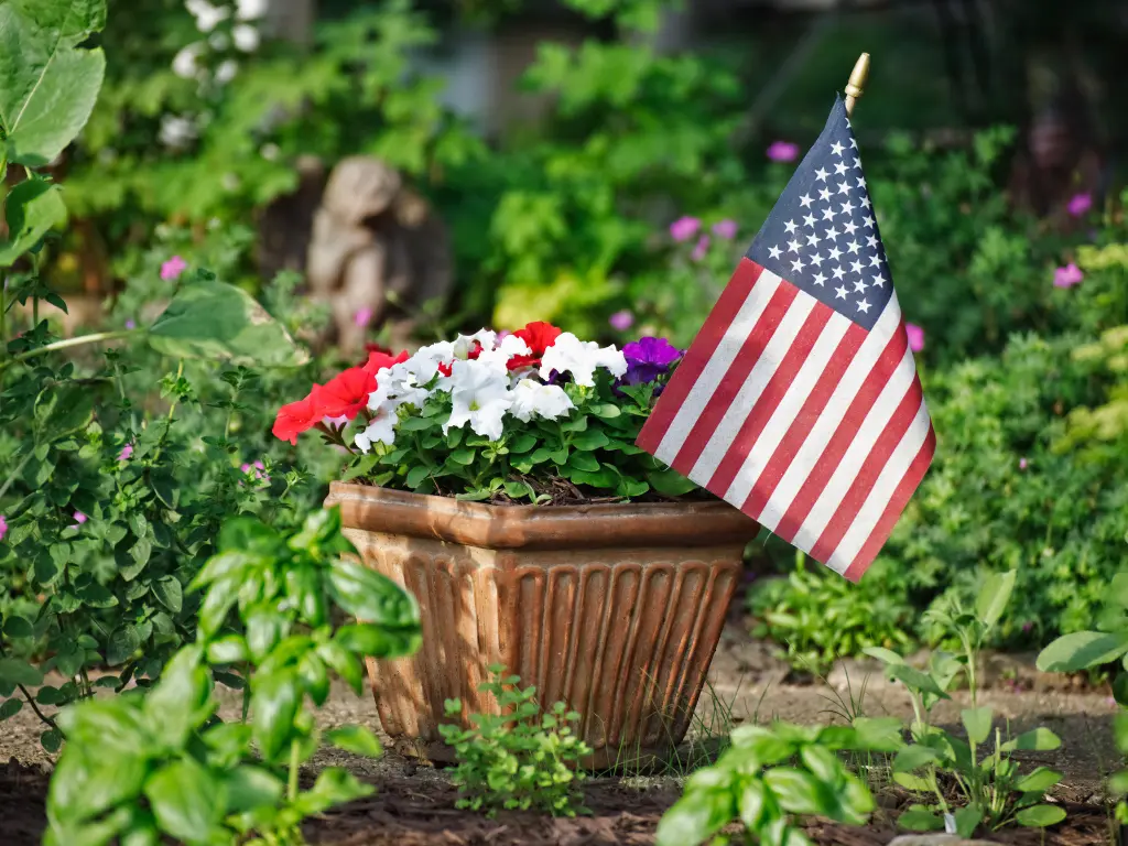 Patriotic flower for 4th of July