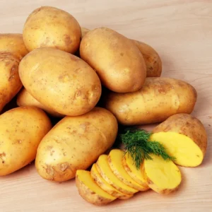 Russet Potato Seeds - 4 Lbs High Yield Seed Potatoes for Planting