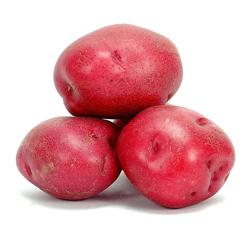Red Potato Seeds for Planting - 4 Lbs High Yield Seed Potatoes