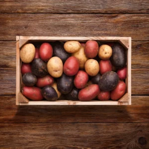 Mixed Potato Seeds for Planting - 4 Pounds High Yield Seed Potatoes