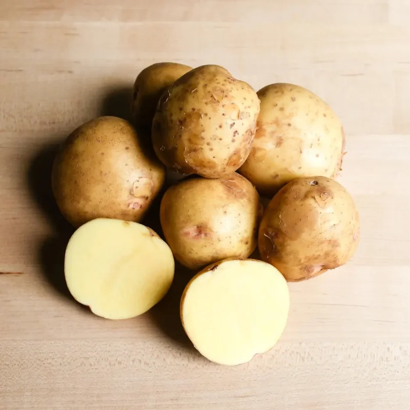 Yukon Gold Potato Seeds 3 Lbs - Fresh Garden Vegetable Seeds