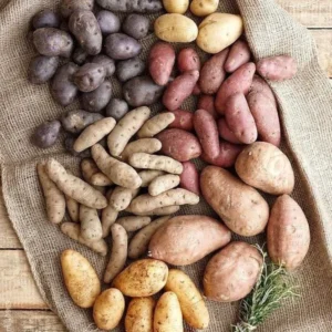 Mixed Potato Seeds 3 Lbs - Fresh Garden Potato Seeds Ready to Grow