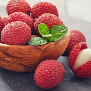 Sweet Lychee Tree Live Plant 3-4 Ft Tall - Tropical Litchi Fruit Tree for Outdoor Garden