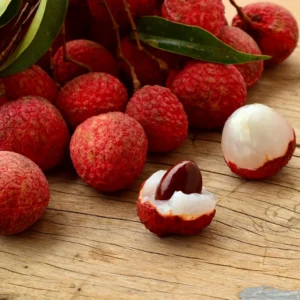 Lychee Tree Live Plant 3 Gallon Pot Sweetheart Lychee Tree