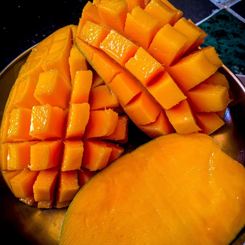 Mango Tree Live Plant - Yellow Mango Tree 2-3 Ft - Grow Your Own Mangoes