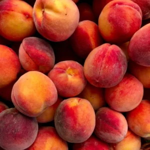 Peach Plant Live Fruit Bearing Tree 3-4 Ft Outdoor Growing