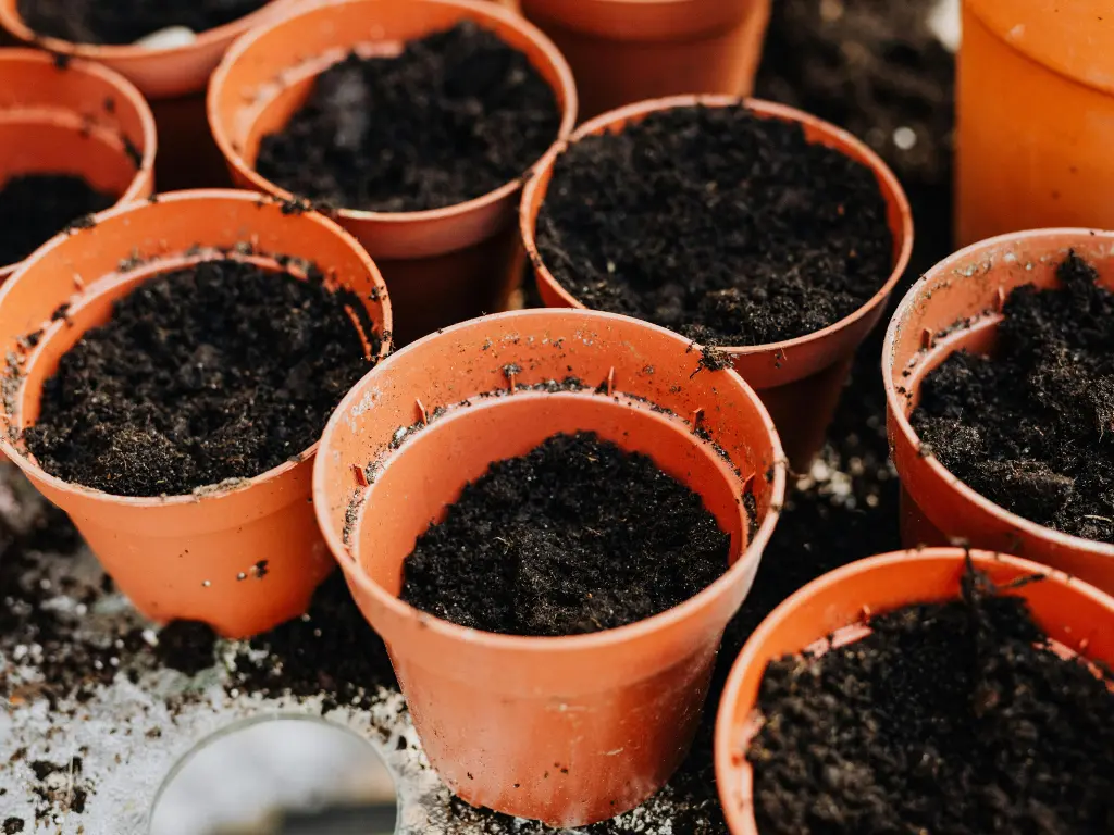 Various empty pots waiting to be filled with potting soil for growing San Marzano tomatoes in containers.