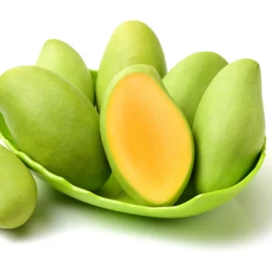 Cogshall Dwarf Mango Tree Grafted - 2-4 Ft Tall Fruit Tree