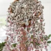 Variegated String of Hearts Plant 4" Pot Ceropegia woodii - Trailing Succulent