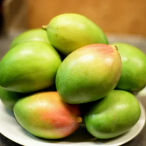 Mango Tree Live Plant - 6-8 Inch Tall, Well Rooted, Outdoor Planting