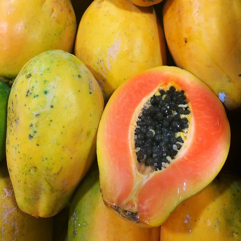 Papaya Tree Live Plant - 5-8 Inch Tropical Fruit Tree for Outdoor Planting