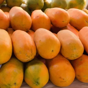 Papaya Tree Live Plant - 5-8 Inch Tropical Fruit Tree for Outdoor Planting