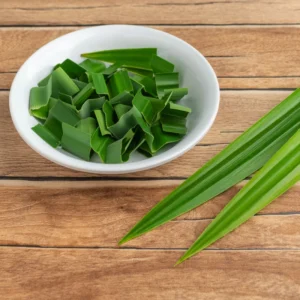 Pandan Plant Live Plant 10-14 Inch Tall Well Rooted Outdoor