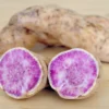 Okinawa Sweet Potato Plants - Pack of 5 - Purple - Live Plants