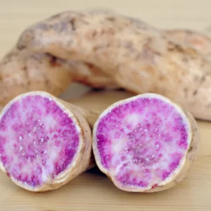 Okinawa Sweet Potato Plants - Pack of 5 - Purple - Live Plants