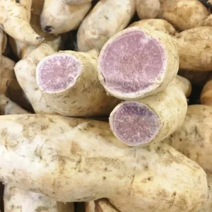 Okinawa Purple Sweet Potato Slips - 10 Well Rooted Plants - 3-5 Inch - Outdoor Planting