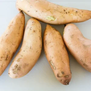 Okinawa Purple Sweet Potato Slips - 10 Well Rooted Plants - 3-5 Inch - Outdoor Planting