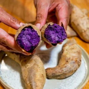 Okinawa Purple Sweet Potato Slips - 10 Well Rooted Plants - 3-5 Inch - Outdoor Planting
