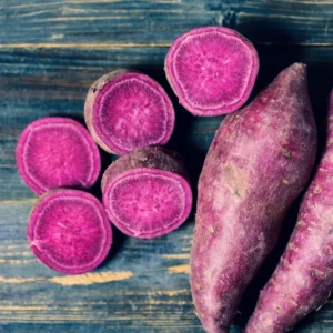 Purple Sweet Potato Slips - 10 Well Rooted Starter Plants for Outdoor Gardening
