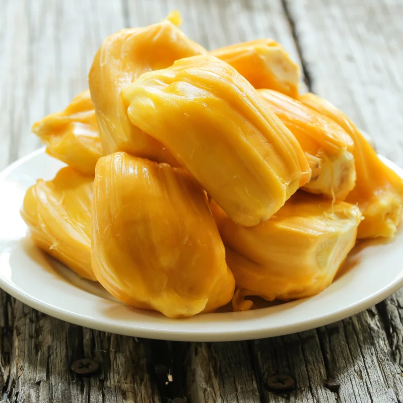 Jackfruit Live Plant - 7-10 Inch Tropical Fruit Tree - Outdoor Ready