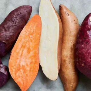 Sweet Potato Cuttings - Pack of 10 Live Plants - 3-5 Inch - Outdoor Gardening