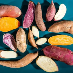 Sweet Potato Cuttings - Pack of 10 Live Plants - 3-5 Inch - Outdoor Gardening